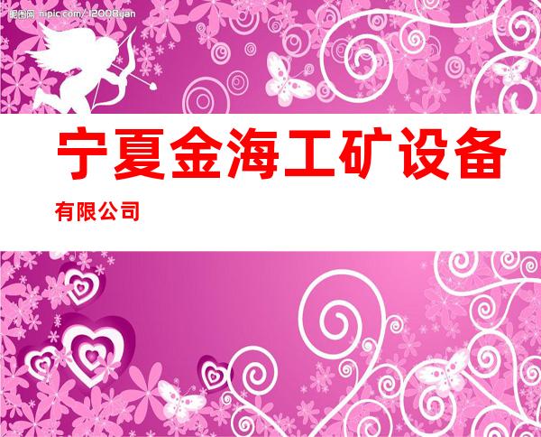宁夏金海工矿设备有限公司